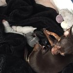Riley Fuller - @rileyfuller79 - Instagram