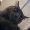 riley - @rileyygates2 - TikTok