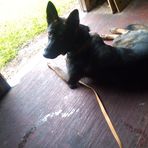 Riley Gillman - Facebook