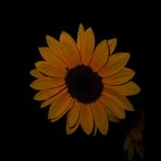 Riley Griffith - Facebook