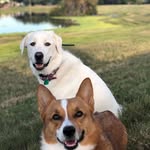 Gracie & Riley Haas - @gracie.riley.haas - Instagram