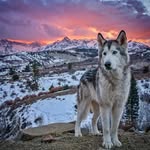 Riley Haley - @rileyhaley9 - Instagram