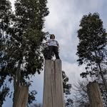 Ramblez - @riley__hamburger - Instagram