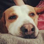 riley harding - @ril1176 - Instagram