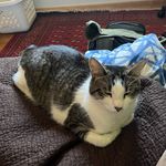 Riley Harding - @riley45668 - Instagram