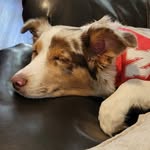 Riley Haug - @rhaug14 - Instagram