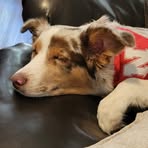 Riley Haug - Facebook