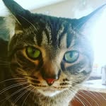 Riley Haugen - @haugen_riley_dean - Instagram