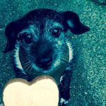 Debbie Holman Riley - @debbieholmanriley - Instagram