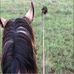 Riley Holman - Facebook
