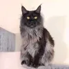 Riley Horne - @riley.horne91 - TikTok
