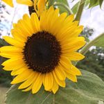 Riley Horne - @riley_horne_ - Instagram