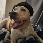 Riley Houk - Facebook
