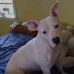 Riley Howard - Facebook