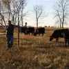 Riley Ingram - @rileyingram77 - TikTok