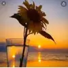 riley.ingram - @riley.ingram7 - TikTok