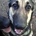 Riley Jacks - Facebook
