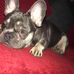 Riley James Clarke - Facebook