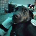 R - @rileykillian20 - Instagram