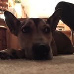 Riley Killian - @rileykillian4life - Instagram
