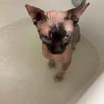 Riley Landry - Facebook