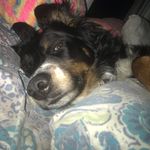 Riley-Lawrence - @riley_lawrence_phms - Instagram