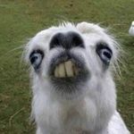 Riley Loomis - @riley_loomis__3300 - Instagram