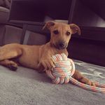 Riley Maxwell Leite - @rollinwithriley - Instagram