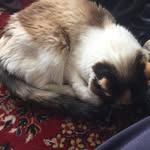 Riley McCall - @riley_415 - Instagram