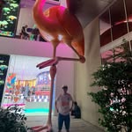 Riley Landon McCarty - @riley_lando10 - Instagram