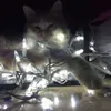 Riley Mcdaniel - @riley.mcdaniel4 - TikTok