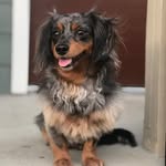 Riley McDaniel - @bug_and_monsters - Instagram