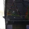 rileymcdowell10 - @rigglesrk - TikTok
