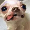 riley miles - @..riley..miles - TikTok