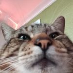 Riley Moffatt Müllertz - @rileymullertz - Instagram