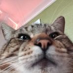 Riley Moffatt Müllertz - Facebook