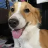 Riley Morales - @riley.morales65 - TikTok