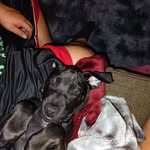 Riley Moreno - @rile.y62625 - Instagram