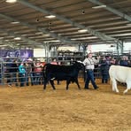 Riley Morin - Facebook