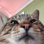 Riley Moffatt Müllertz - @rileymullertz - Instagram
