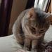 Riley Norris - Facebook