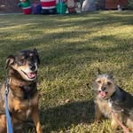 Riley & Odie Perez - @rileyperez92506 - Instagram