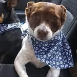 Riley Pierce - @riley.pierce.773124 - Instagram