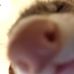 Riley Pierce - Facebook