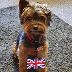 Riley Potts - Facebook