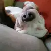 rileypottsthebeast - @rileypottsthebeast - TikTok