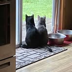 Riley Pratt - Facebook