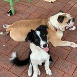 Riley Pratt - @turticus - Instagram