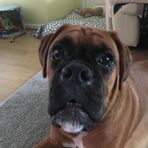 Riley Proctor - Facebook