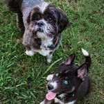 Riley & Ramsey - @rileyandramsey - Instagram
